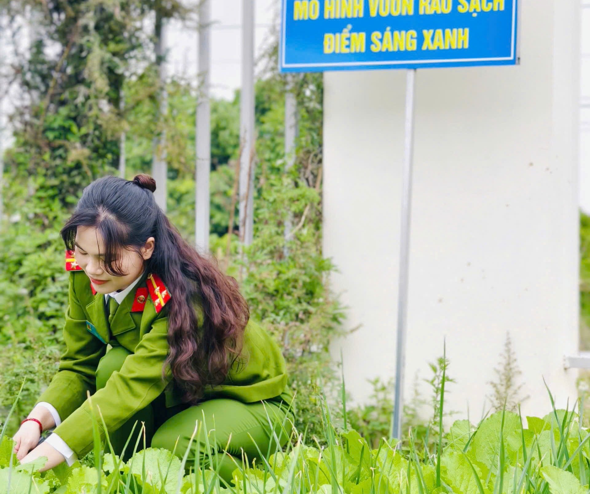 Công an xã Yết Kiêu xây dựng mô hình “Vườn rau sạch – điểm sáng xanh